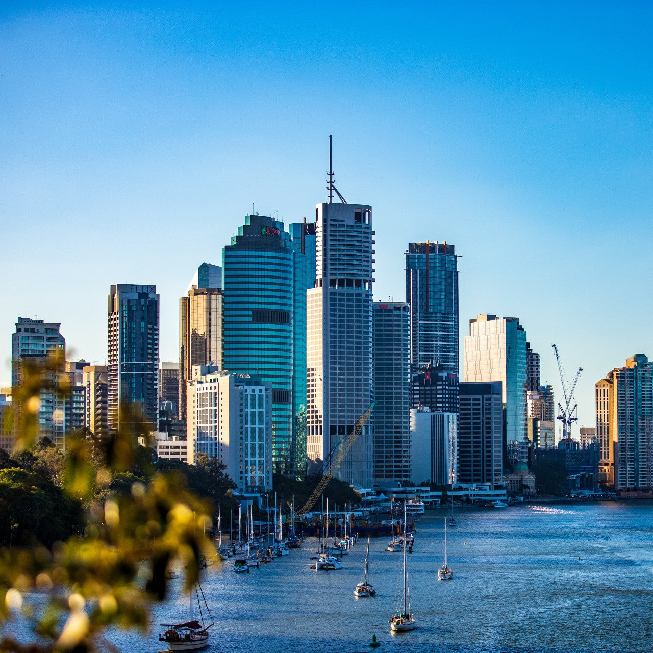 Monkey Bars Brisbane