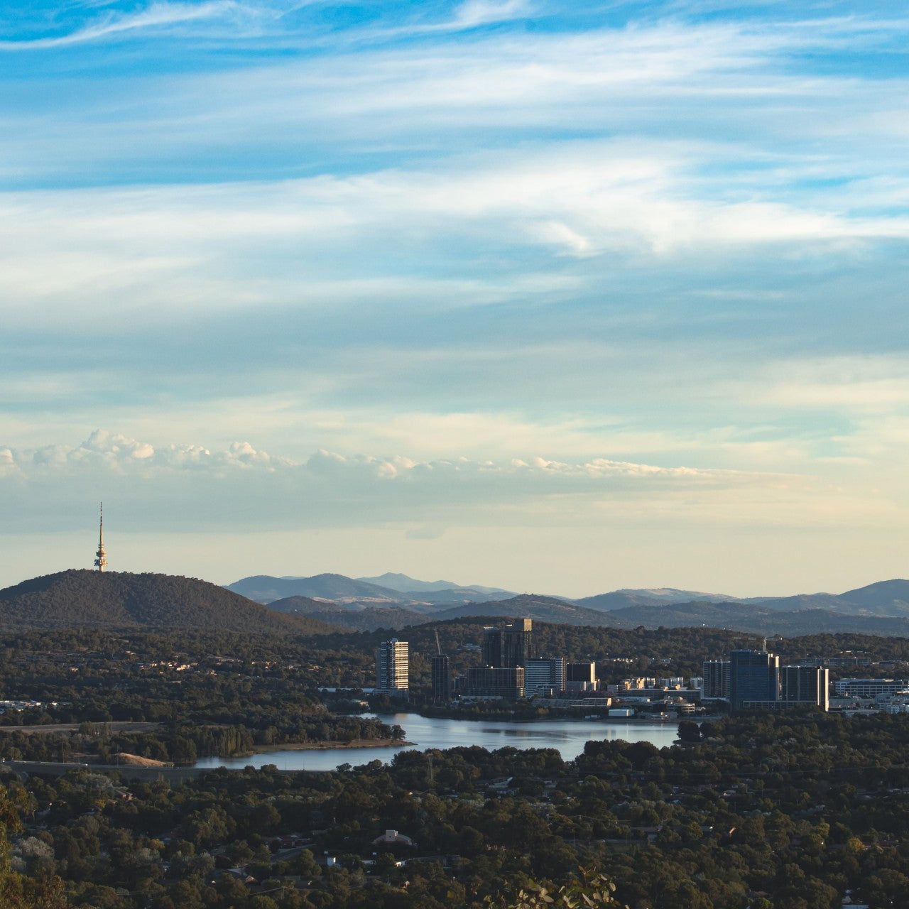 Monkey Bars Canberra