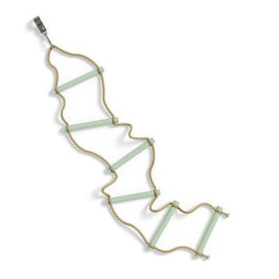 Rope Ladder in Evergreen